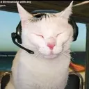 Team 7 discord server