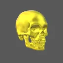 skulls collection