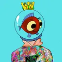 NFIT-Gymfish