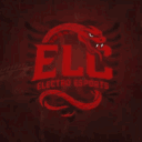 ELECTRO ORGANIZATION