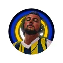 Cotyoras