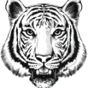 Tiger Coin on Cronos