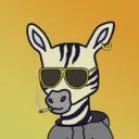 Zebras Squad