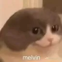 Melvin's Holy Land