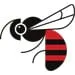 Red Belly Honey