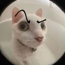O_o
