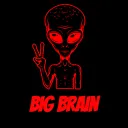 The braniacs server