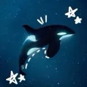 ﹒ Serenity Discord Server Icon