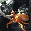 Octopus Activities