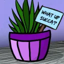 Keep Calm Succas