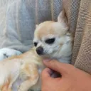 トラちゃんのサーバー
