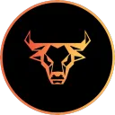 Charged Bulls