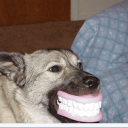 Gronches Server Icon