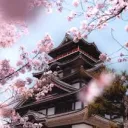 open sanctuary Discord Server Icon