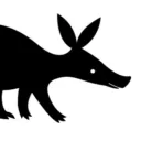 AardvarkGames