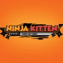 NINJA KITTEN TAPS OF FURY