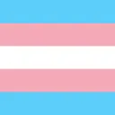 Trans Icon Server
