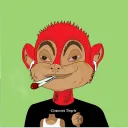 The Chipmunk Club's server