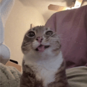 Chill & Aim| Games &  Social | Music Discord server icon