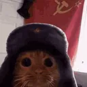 Communist Cats Hangout!