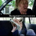 R0xF0xS0x Screamcore