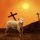 The Lamb    Discord Server Icon