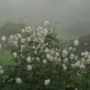 , <3 ᴛʜᴇʀᴀᴘʏ ᴠɪʙᴇs Discord Server Icon