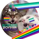 ・Gay Safe Place 🌈✨