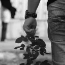 Caramio Discord Server Icon