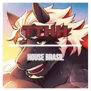 ⧽⧽ Tik Tokyo Heroes House Bras... Discord Server Icon