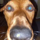 BIG MARKET Server Icon