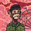 MILITARY APES