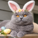 UNDERGROUND RAP FEET PICTURES