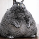 UNDERGROUND RAP ARMPIT PICTURES