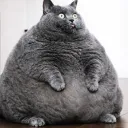 UNDERGROUND RAP ARMPIT PICTURE... Discord Server Icon