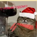 БЕРЛОГА КОТА✖