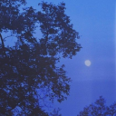 â˜¾ðµð‘’ð‘¤ð‘–ð‘¡ð‘â„Žð‘’ð‘‘â˜½ Server Icon