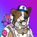 Rebel Space Dogs