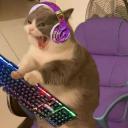 Ooga Gaming