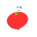 トマト畑🍅