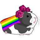Guinea Pink Comunidad