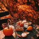 秋 ⨯ autumn leaf ― f2u emotes
