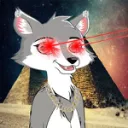 Young Wolf Gang