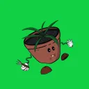 Runaway Plant Pots