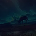 creator content's icon