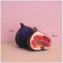 Melbourne Figs(hunnid    ) Discord Server Icon