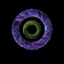 The Last Rings's server