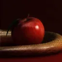 TemptStation