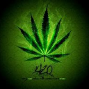 weed nft - discord server icon