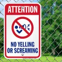 no screaming server (even tho i scream alot)